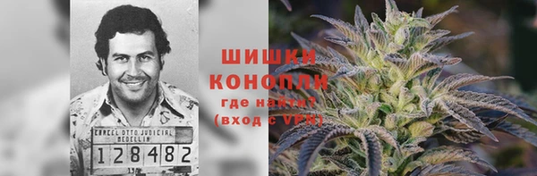 сатива Волоколамск