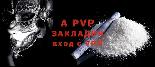сатива Волоколамск