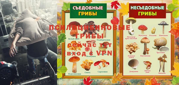 сатива Волоколамск