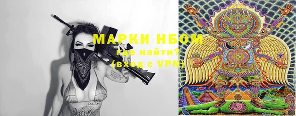 сатива Волоколамск