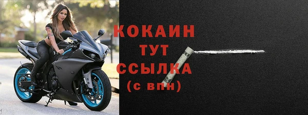 сатива Волоколамск