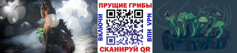 Галлюциногенные грибы мицелий  гидра сайт  Нолинск 